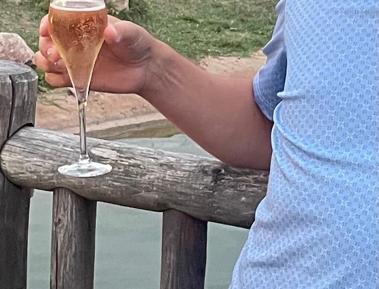 Profil de Djimy